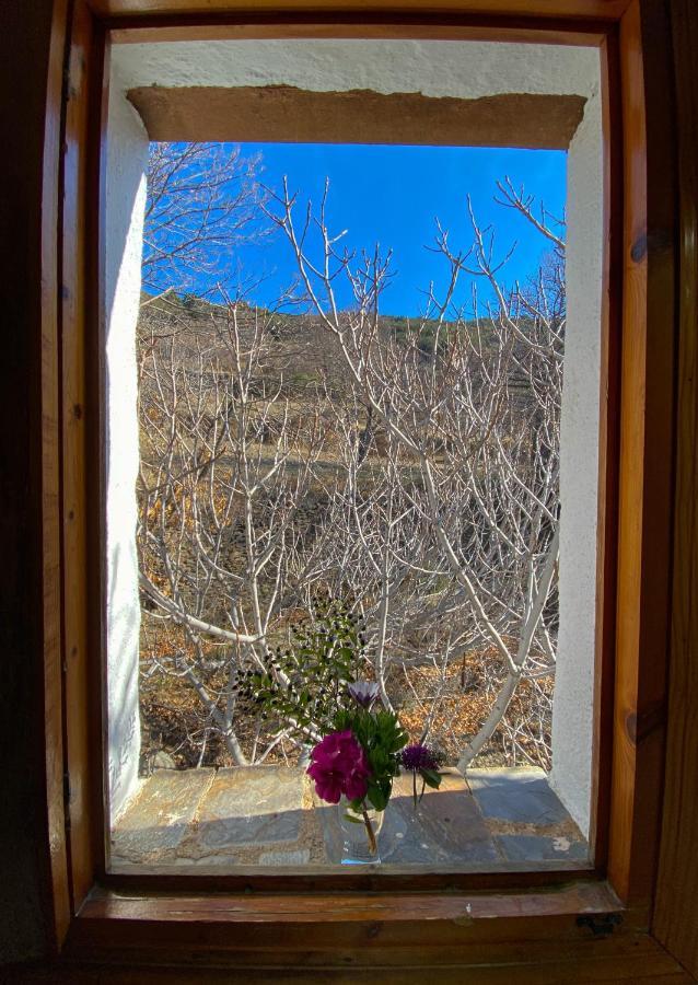 Appartement La Higuera à Bubión Extérieur photo